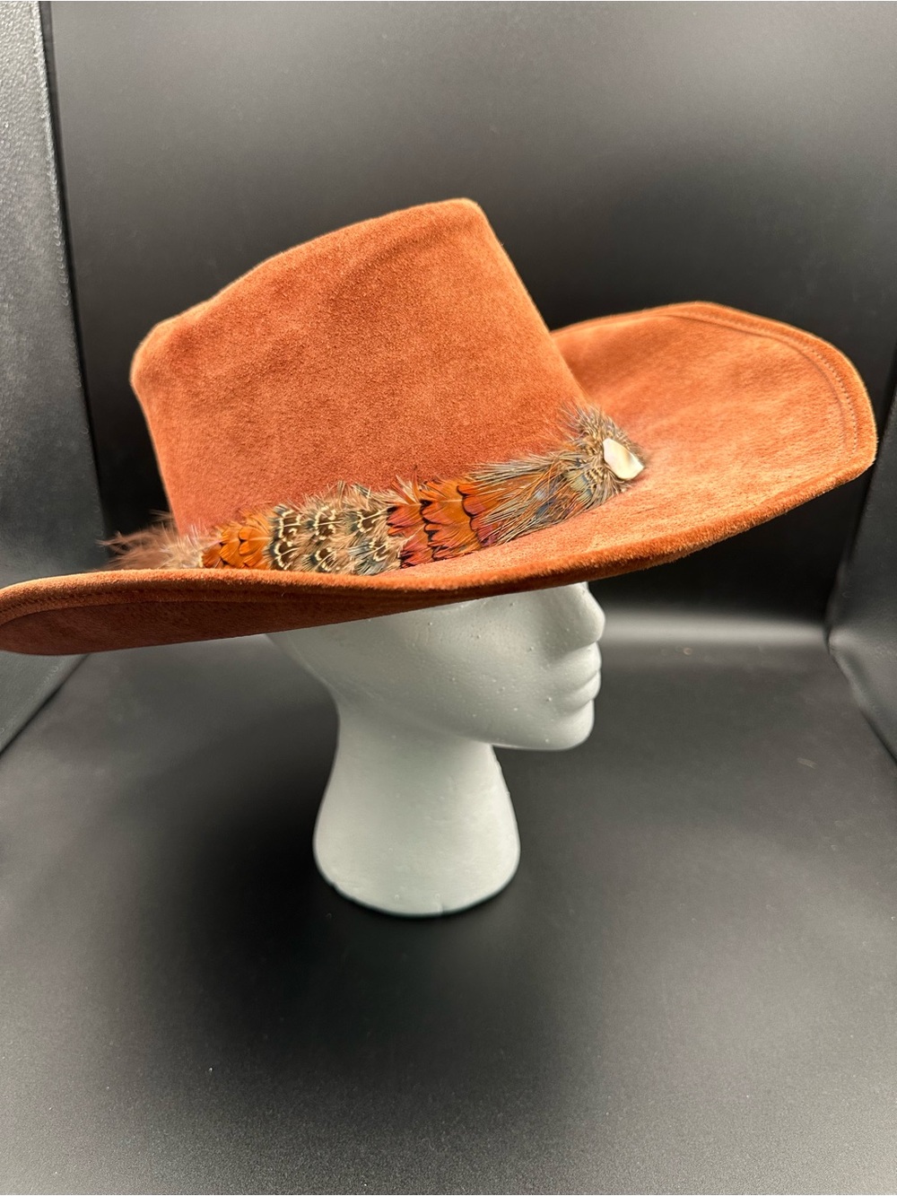 San Zeno Suede Leather Cowboy Hat Santa Fe Rust Pheasant Feather Band Vtg Small